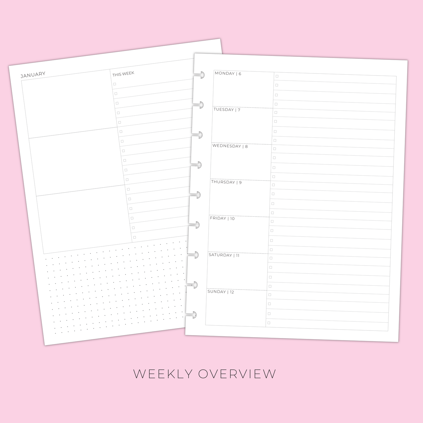 LLP: "2025 Weekly Overview" Planner Inserts for Classic Disc Bound Planners