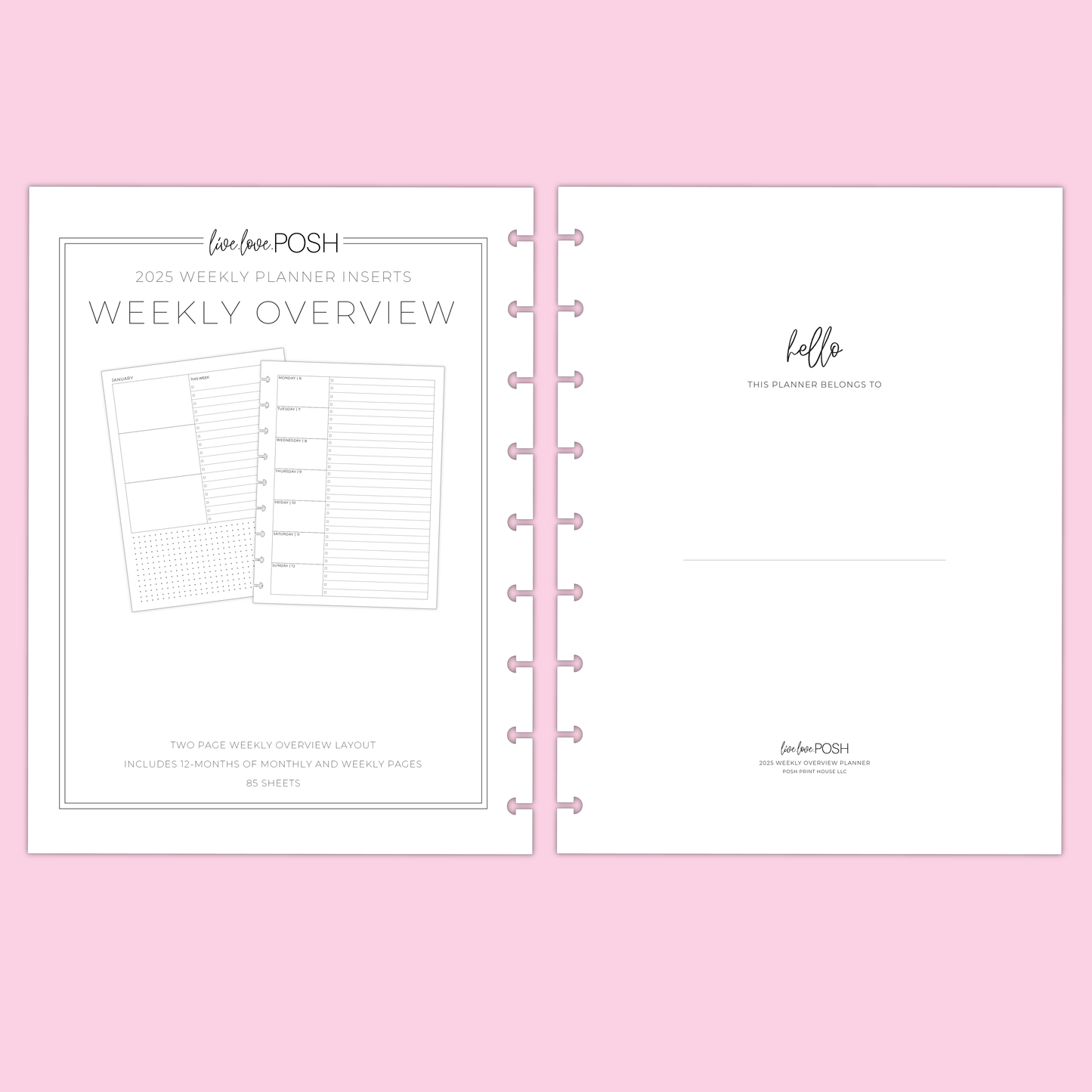 LLP: "2025 Weekly Overview" Planner Inserts for Classic Disc Bound Planners