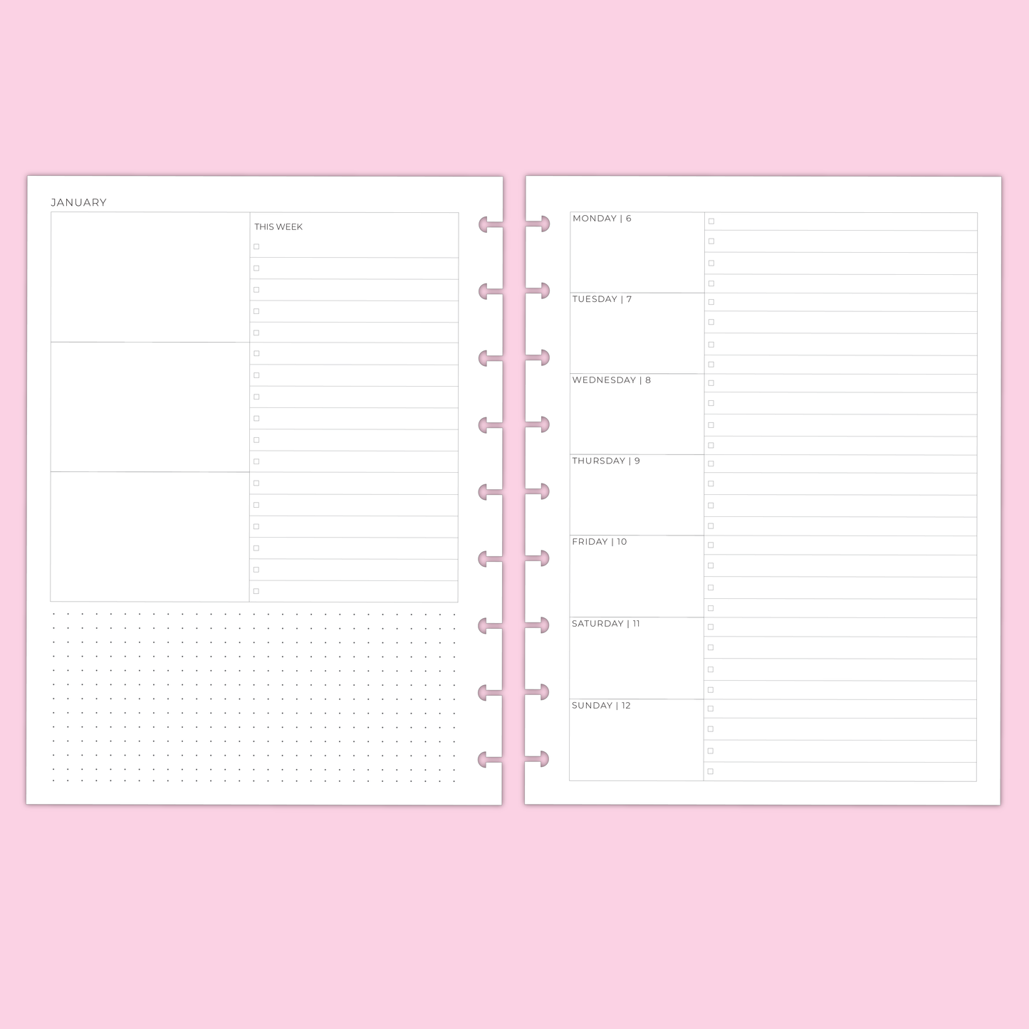 LLP: "2025 Weekly Overview" Planner Inserts for Classic Disc Bound Planners