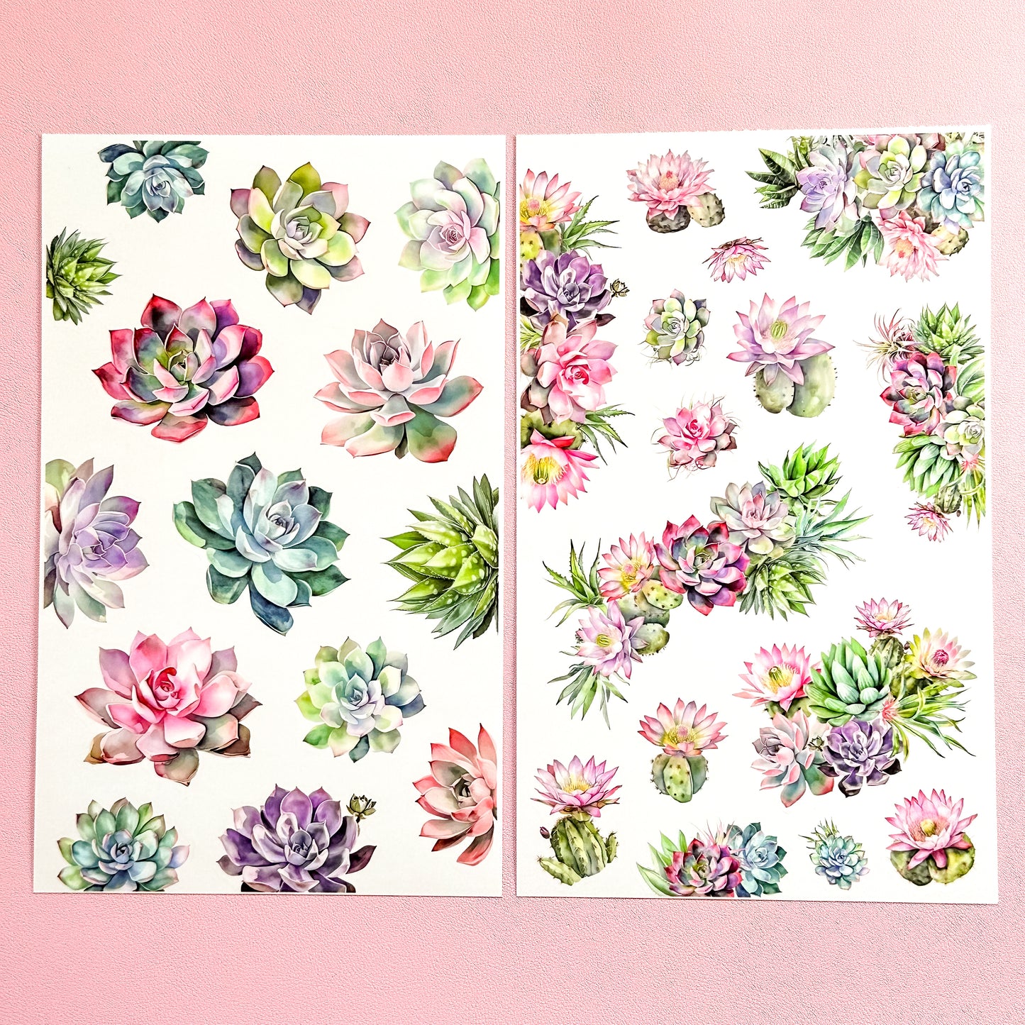 LLP: "Botanist Babe" Sticker Book