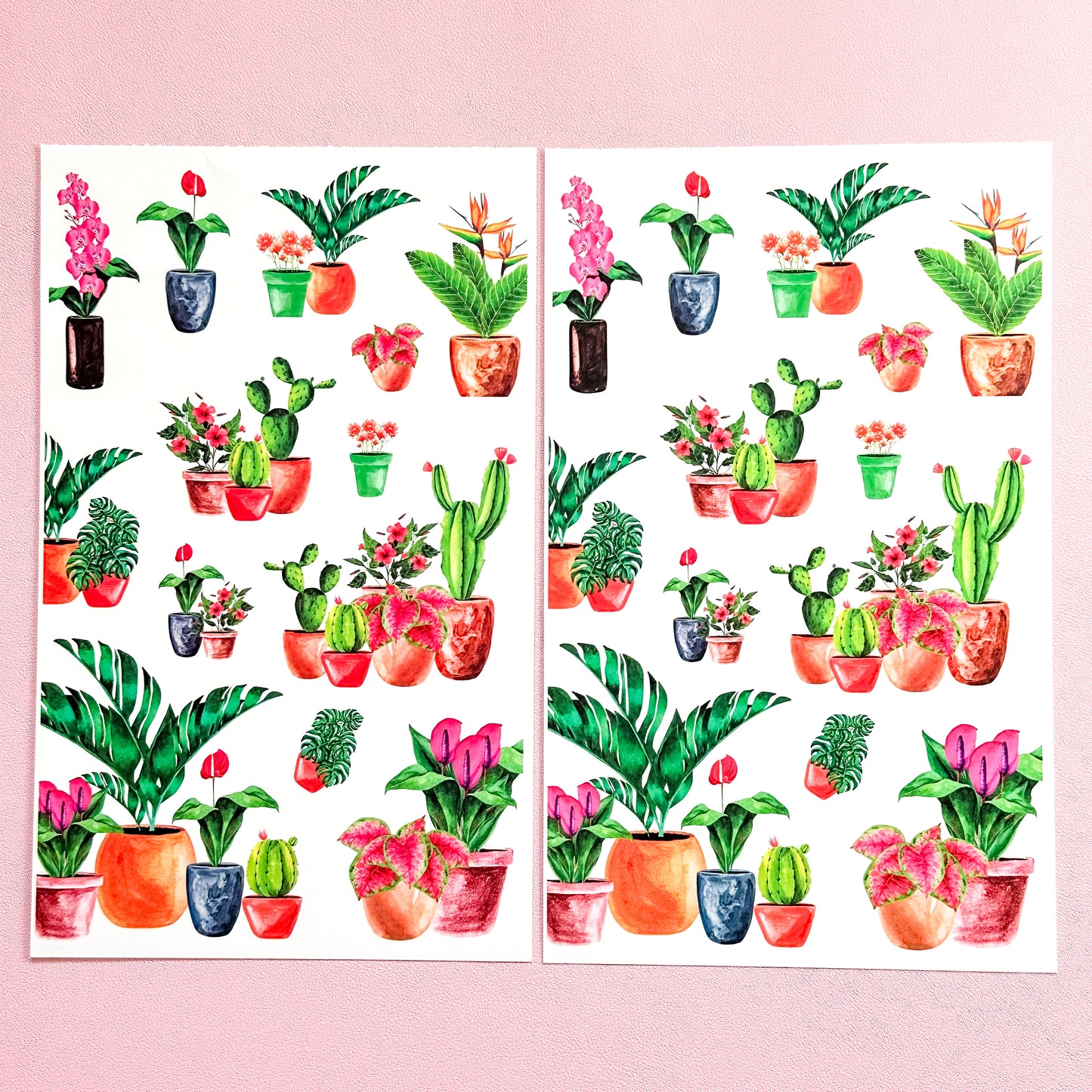 LLP: "Botanist Babe" Sticker Book